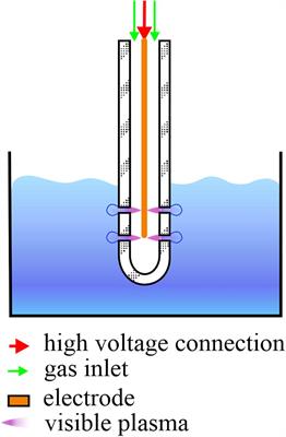 Inactivation of Pepper Mild Mottle Virus in Water by Cold Atmospheric Plasma